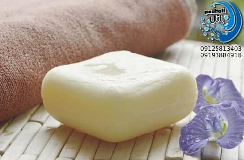 شوینده پاکسان