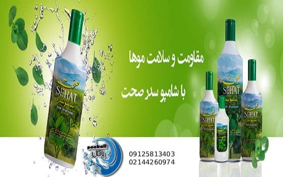 شامپو سدر صحت