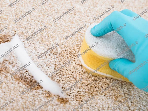 پودر ارزان ویژه قالیشویی