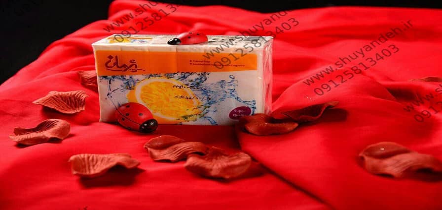 صابون رختشویی پژمان